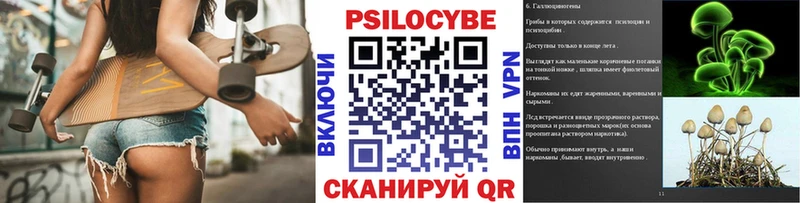 Купить где  Тырныауз  Псилоцибиновые грибы Magic Shrooms 